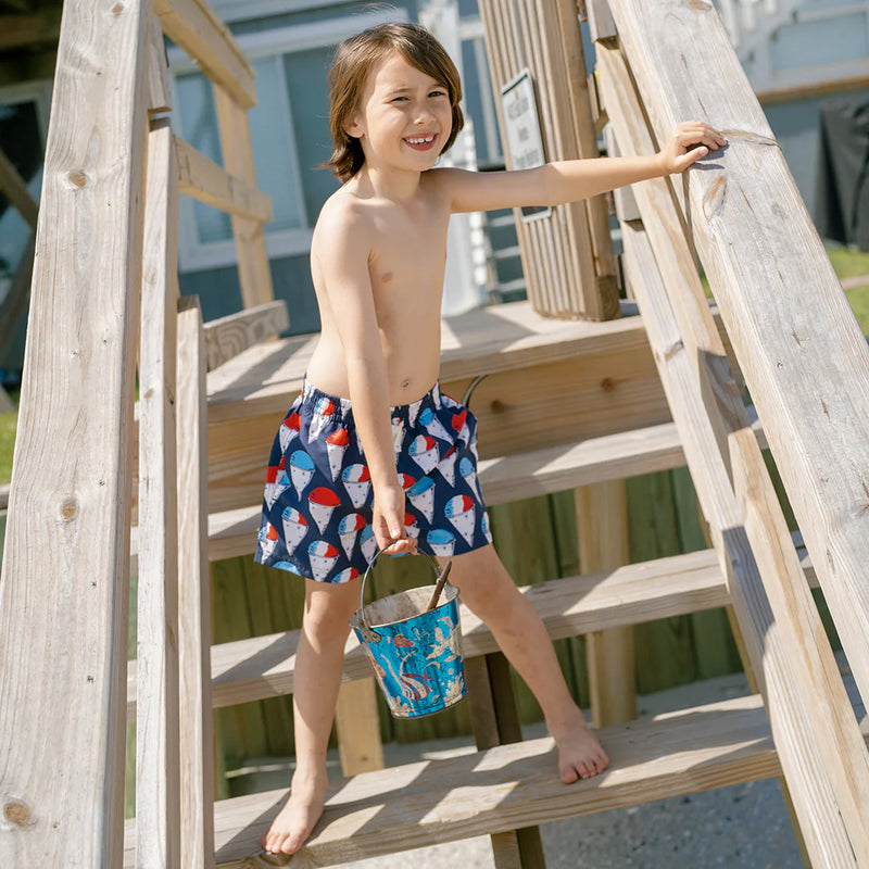 Pink Chicken Boy's Swim Trunk in Snow-Cones