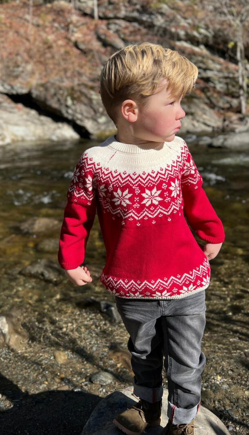 Me & Henry Igloo Sweater in Red