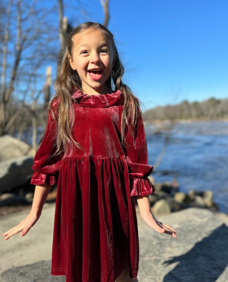 Vignette Milly Dress in Maroon Velour