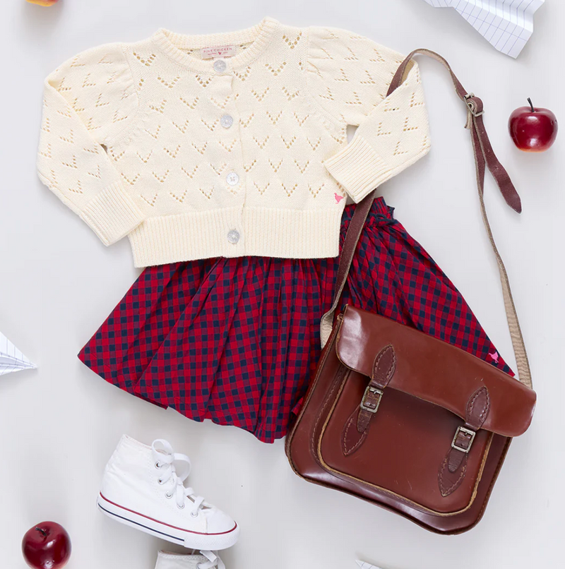 Pink Chicken Gianna Skirt in Blue Check