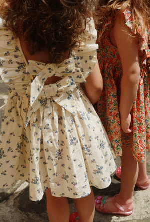 Konges Slojd Cianna Dress in Blue Floral