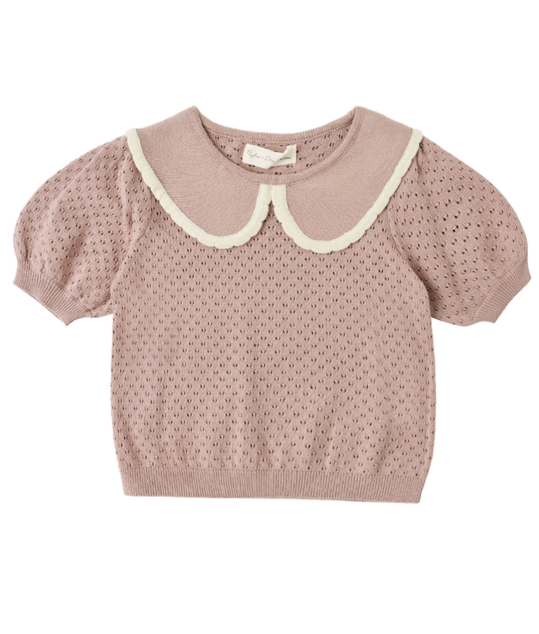 Rylee + Cru Pointelle Collared Knit Top in Rosewood