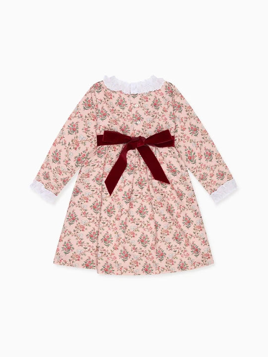 La Coqueta Silas Dress in Rose Floral