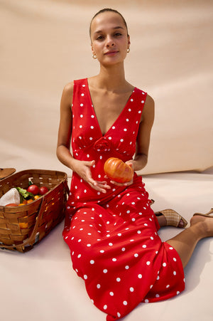 Rails Terena Dress in Rossa