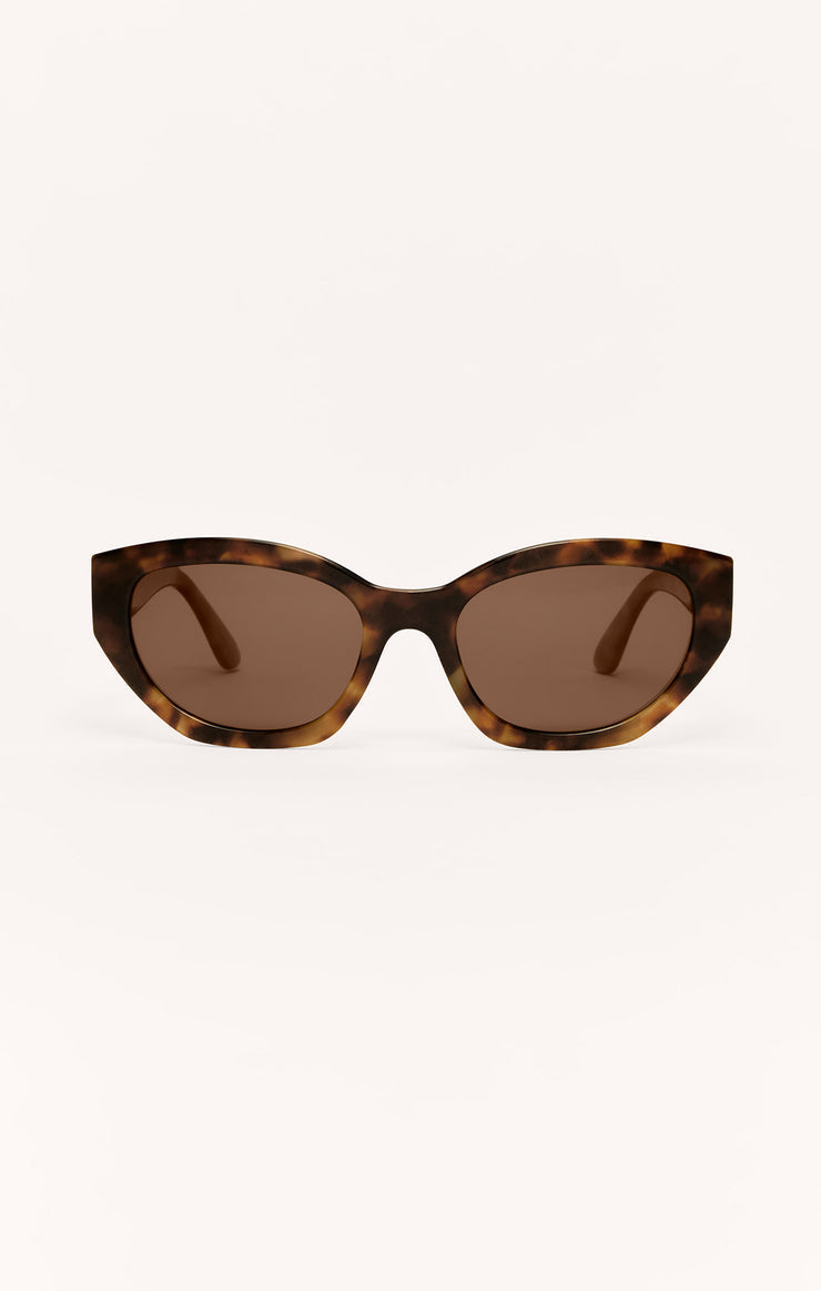 Brown Tortoise