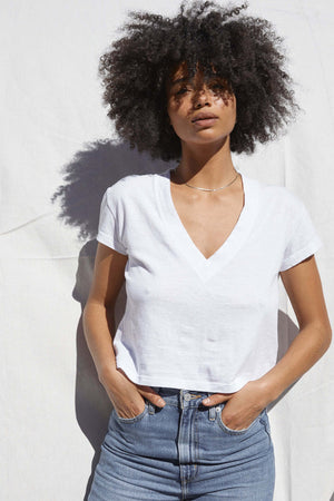 PerfectWhiteTee Alanis Recycled Cotton V Neck in Multiple Colors