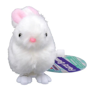 Toysmith Farm Fresh Wind Up Fuzzy Bunny