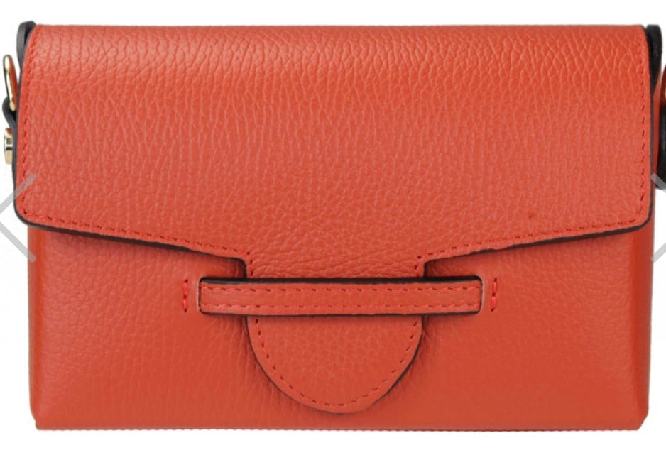 Two Amicis Urban Clutch- Multiple Colors!