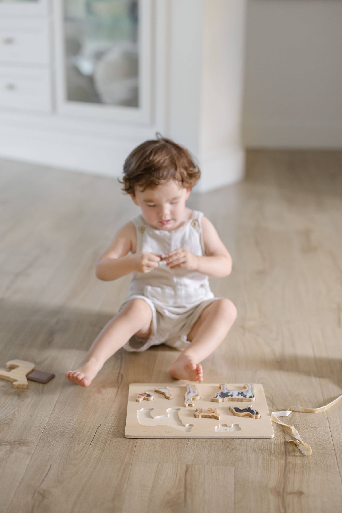 Paige Tate Farm Animals Wooden Puzzle: A Tabitha Paige Puzzle