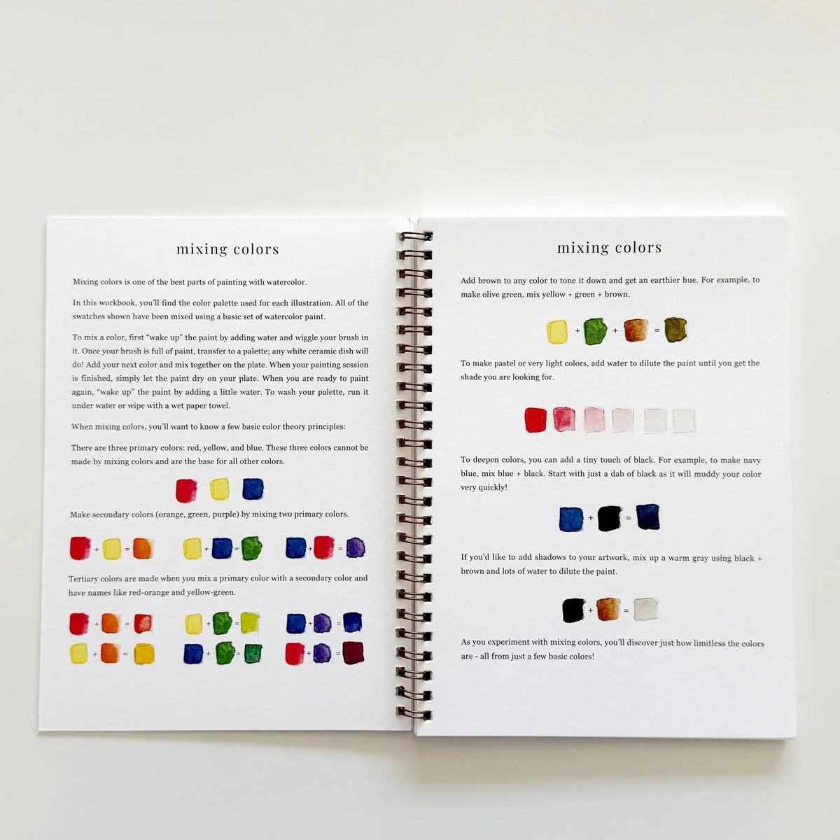 emily lex studio Fruit Watercolor Workbook