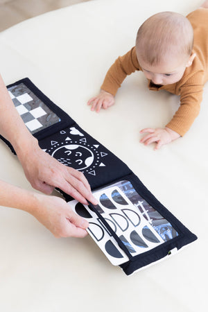 Pearhead Newborn Sensory Learning Toy Set