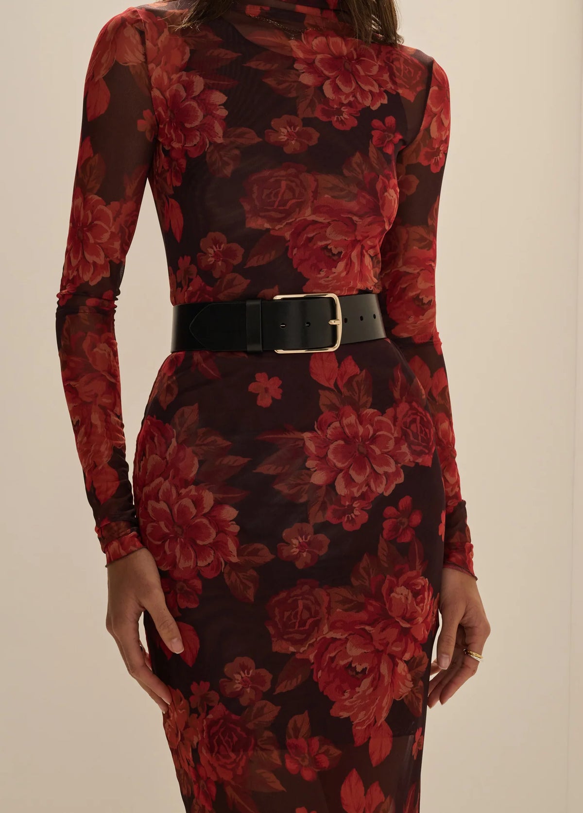 Favorite Daughter The Sheer Fantasy Dress in Wine Floral