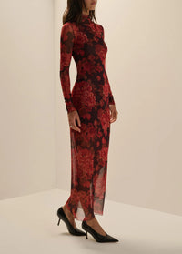 Favorite Daughter The Sheer Fantasy Dress in Wine Floral