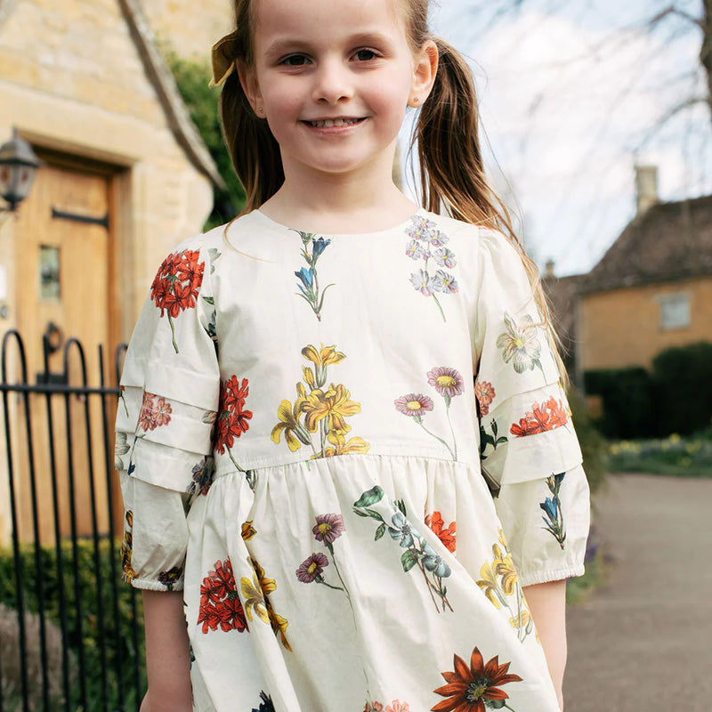 Pink Chicken Brooke Dress in Notebook Botanical