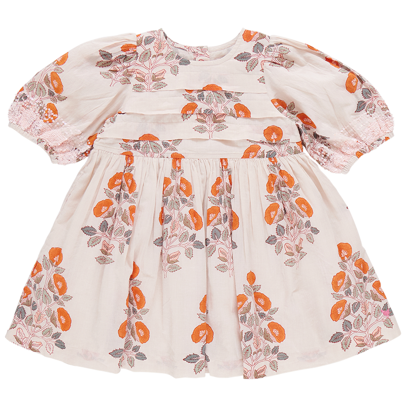 Pink Chicken Evelyn Dress in Cloud Bouquet Floral