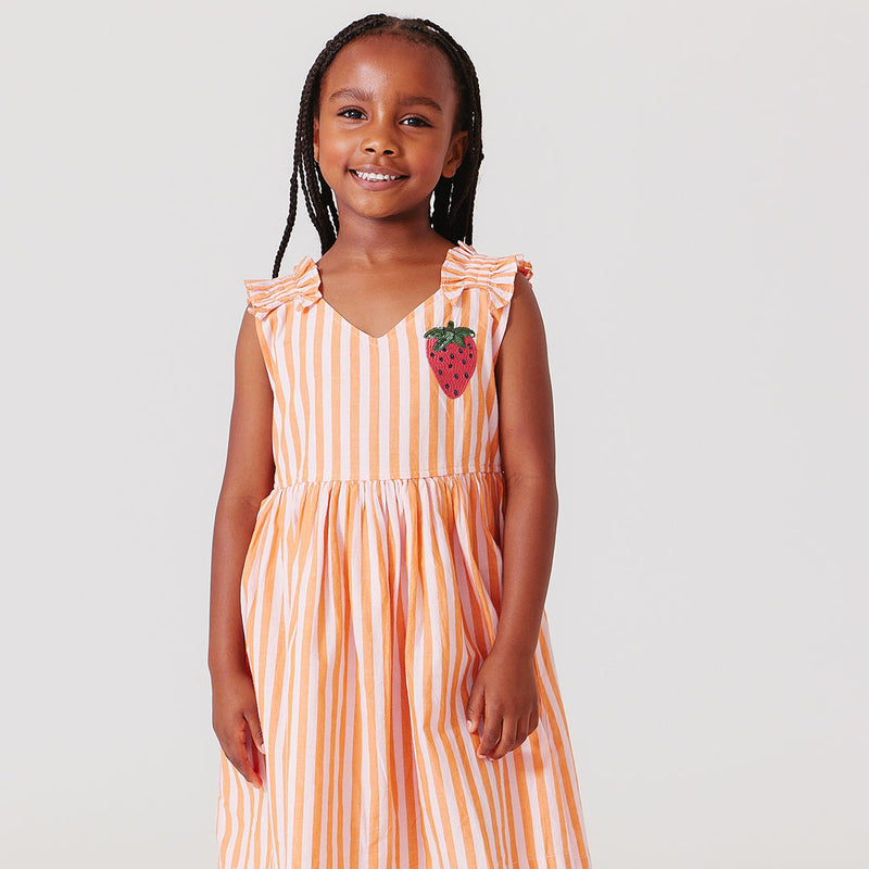 Pink Chicken Via Dress in Orange/Pink Stripe