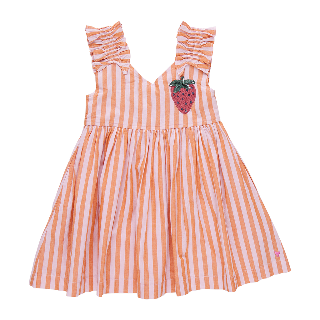 Pink Chicken Via Dress in Orange/Pink Stripe