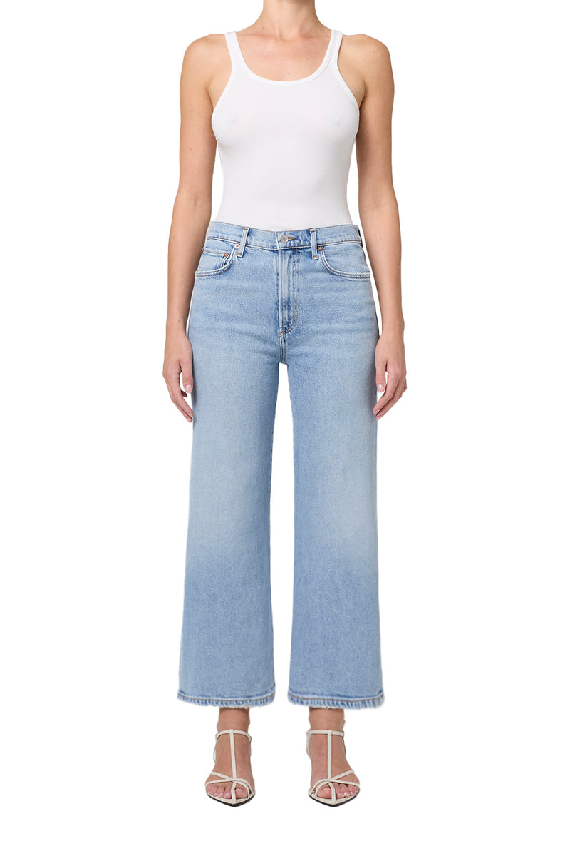Agolde Harper Crop Wide Leg Jean in Formula
