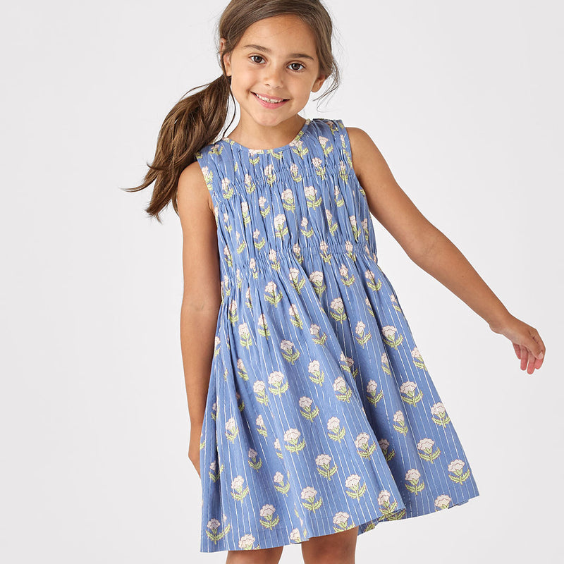 Pink Chicken Waverly Dress in Periwinkle Small Bud