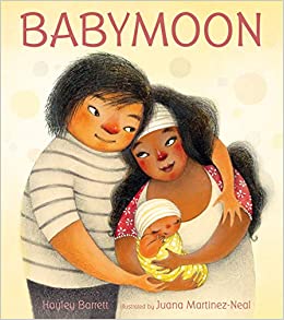 Babymoon Book By Hayley Barrett