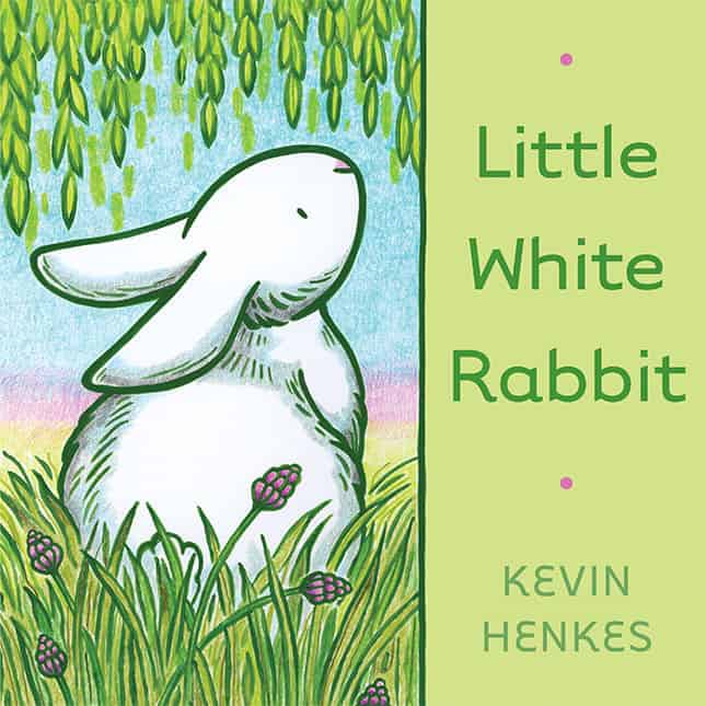 Little White Rabbit Board Book by Kevin Henkes