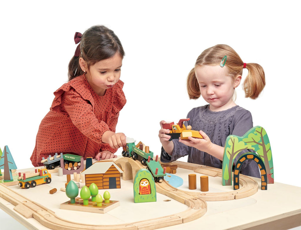 Tender Leaf Toys Wild Pines Train Set