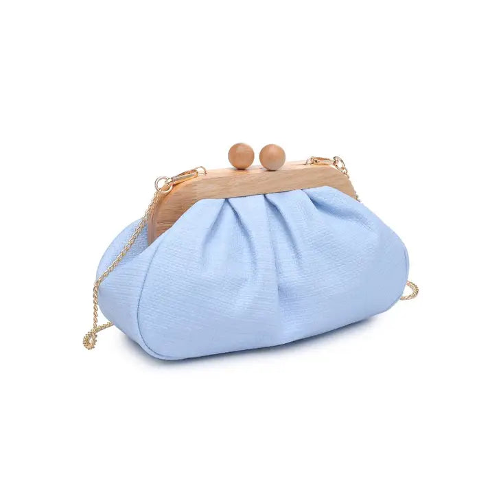 Moda Luxe purse