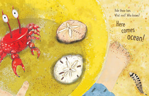 Here Comes Ocean Book by Meg Fleming