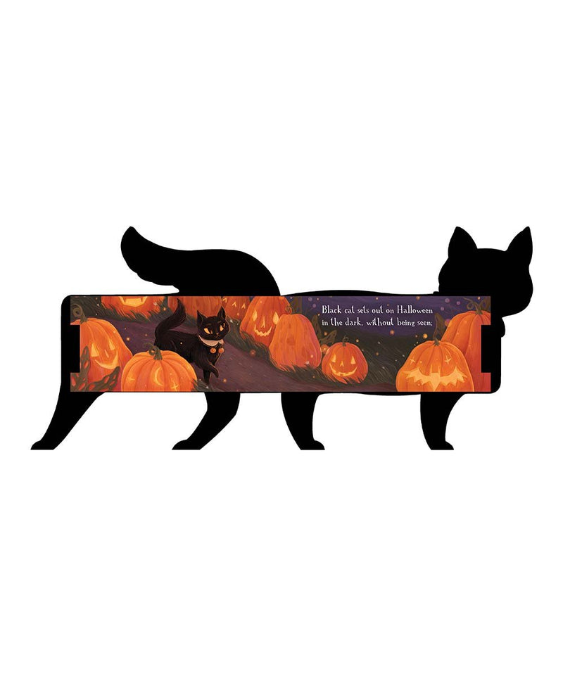 One Black Cat Board Book by Robin Rogge